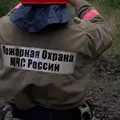 Алекс из Губахи, мне 49, познакомлюсь для регулярного секса